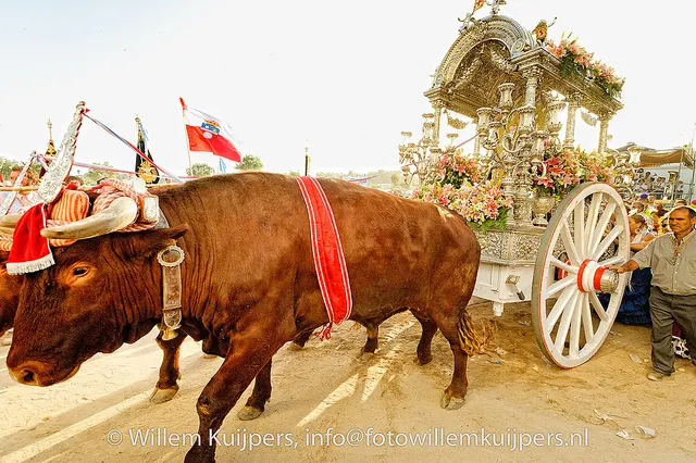 Fotos-rocio-willemkuijpers-2010-080_std