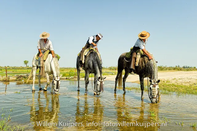 Fotos-rocio-willemkuijpers-2010-043_std