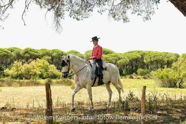 Fotos-rocio-willemkuijpers-2010-079_std
