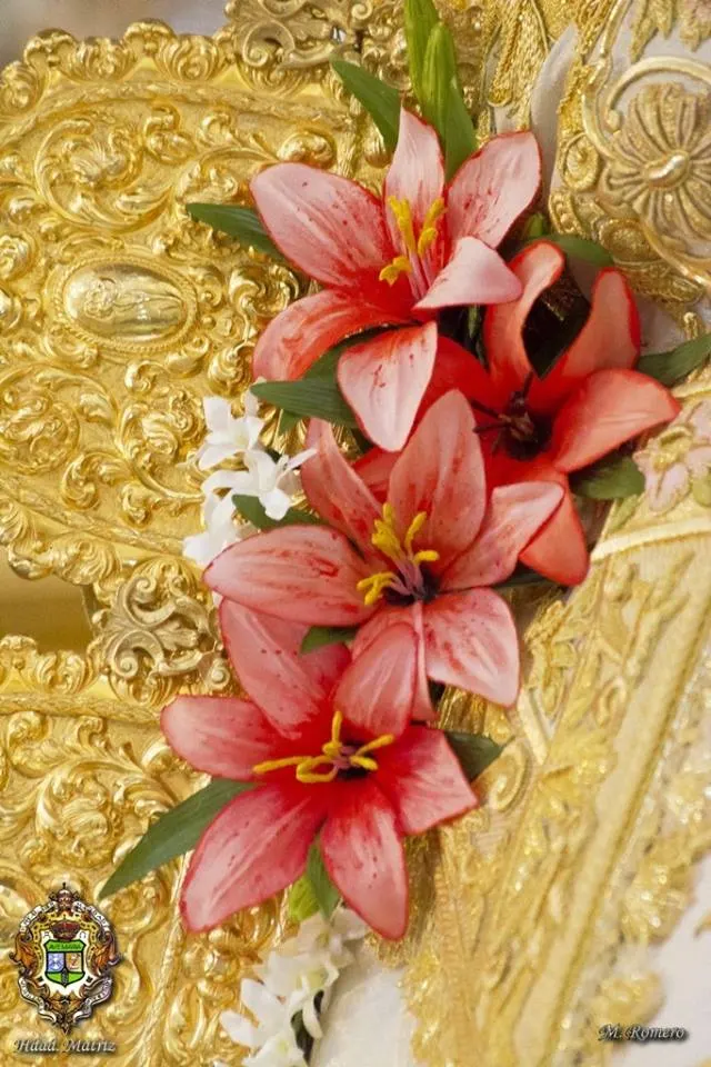 Nuevo traje Virgen 2015-112141