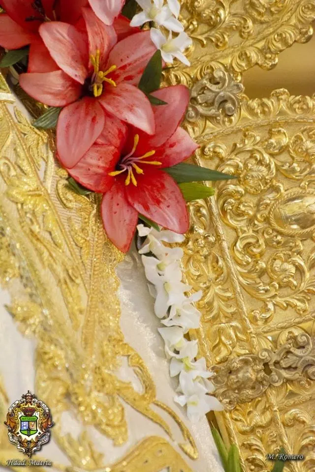 Nuevo traje Virgen 2015-112144