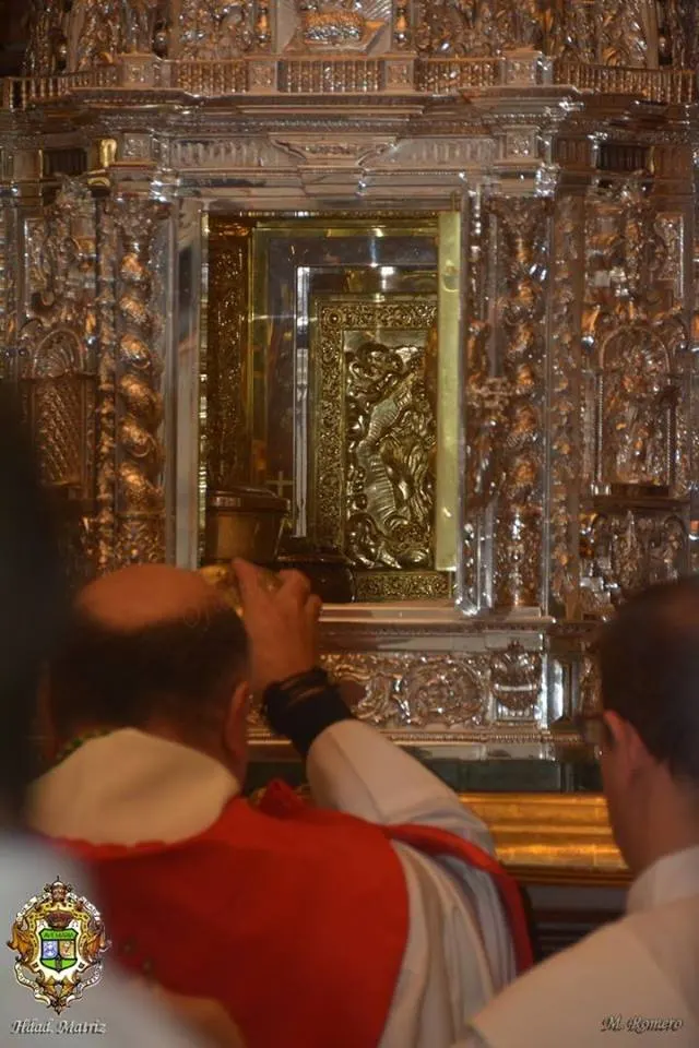 Vigilia de la inmaculada 2015-19