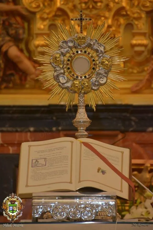 Vigilia de la inmaculada 2015-37