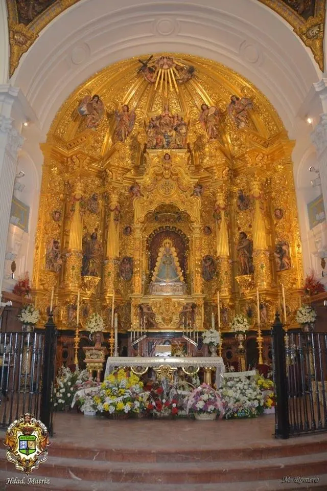 Vigilia de la inmaculada 2015-7