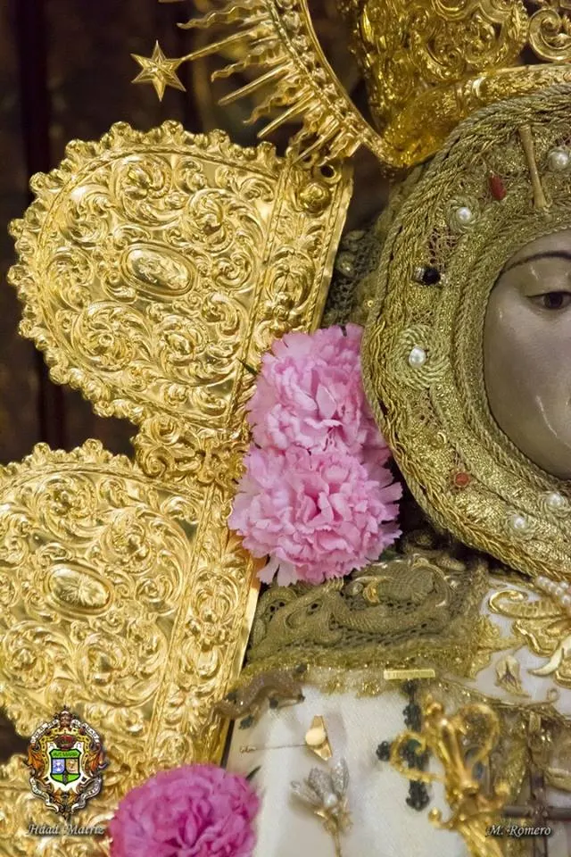 Virgen candelaria 2016-20