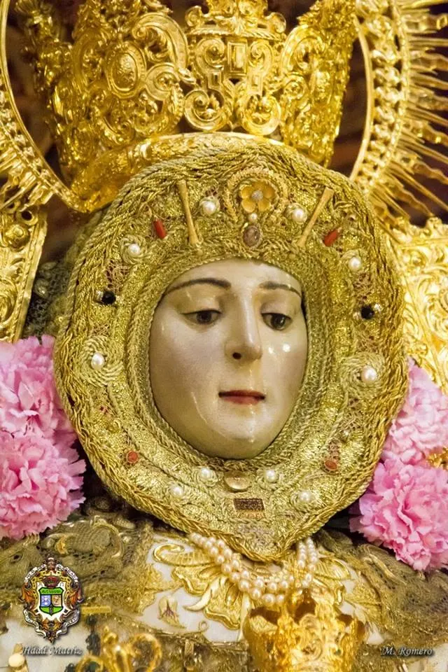 Virgen candelaria 2016-21
