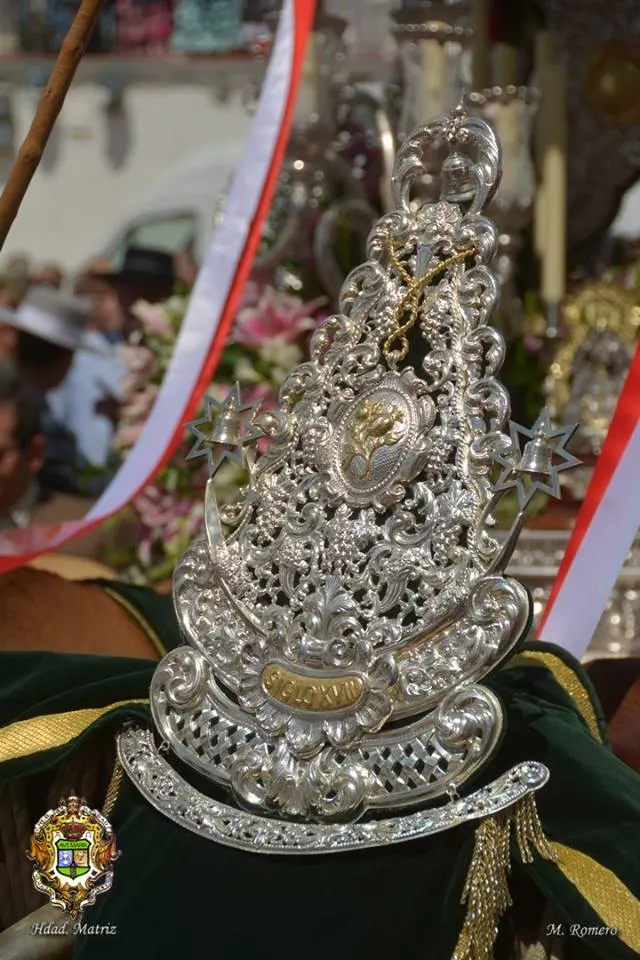 MATRIZ - rocio 2016-21