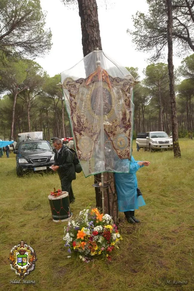 Matriz al rocio 2016-19