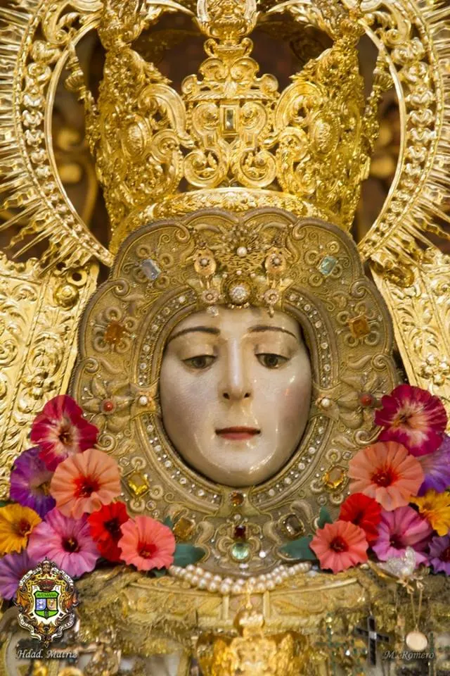 Camarin Virgen 2017 -11