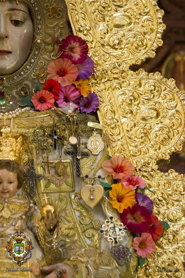Camarin Virgen 2017 -13