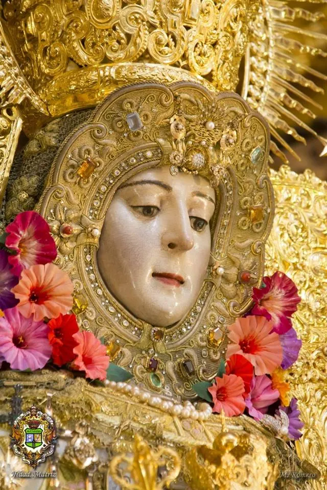 Camarin Virgen 2017 -16