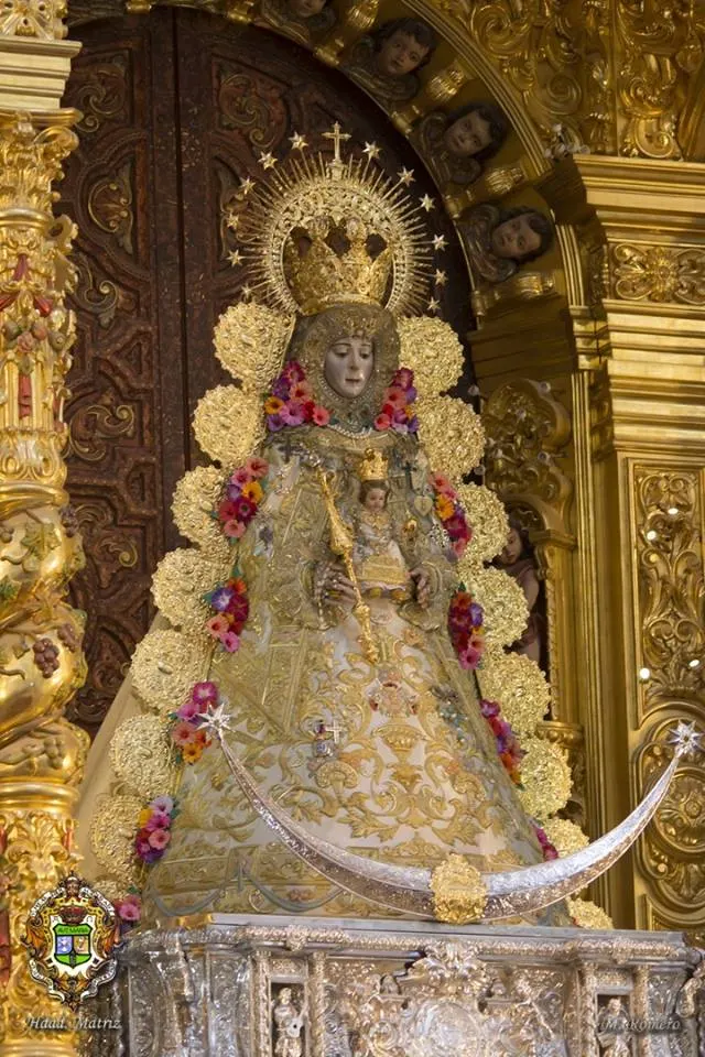 Camarin Virgen 2017 -2