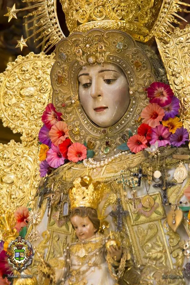 Camarin Virgen 2017 -6