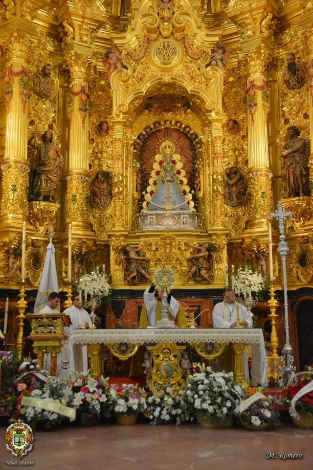Vigilia Inmaculada 2017 -19