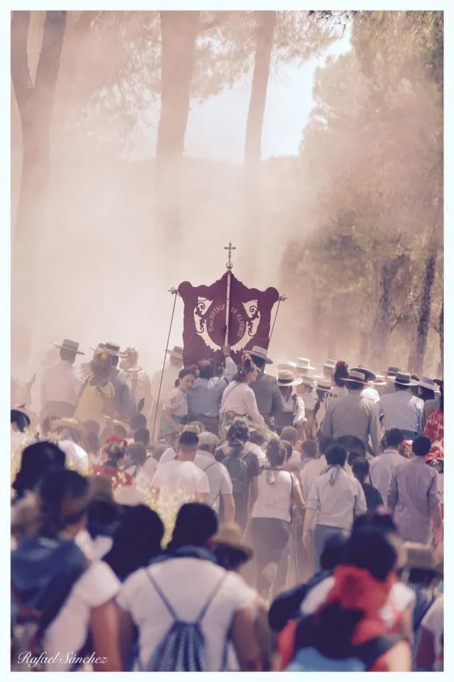 Momentos del Camino al Rocio 2019-Almonte-5