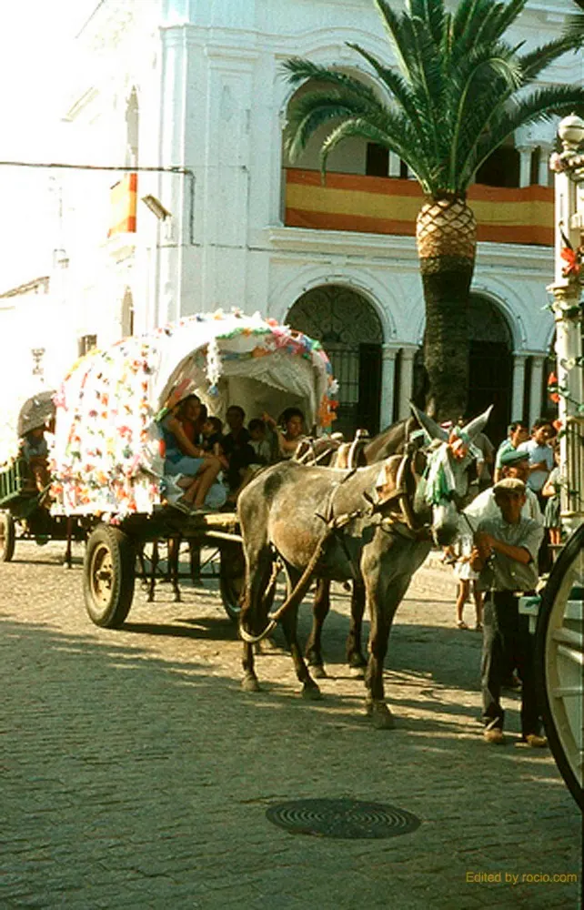 42-rocio.com-antiguo-rocio-39_std
