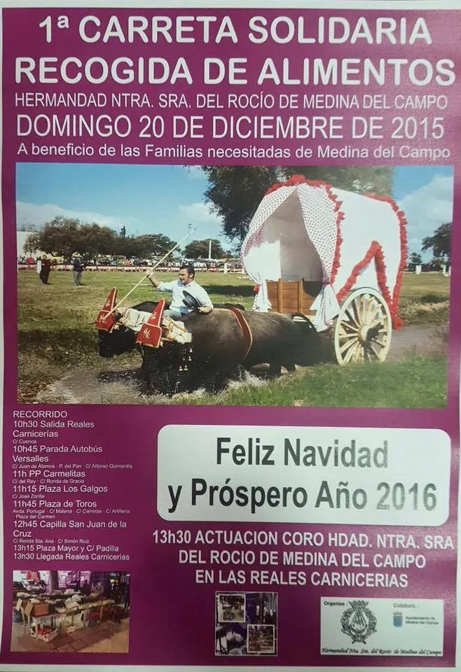 Medina del Campo navidad 2015