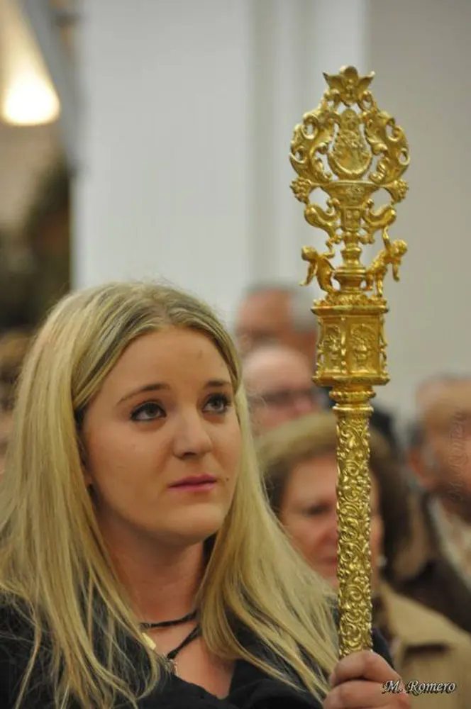 4954-peregrinacion hermandades 14-12-2013-23