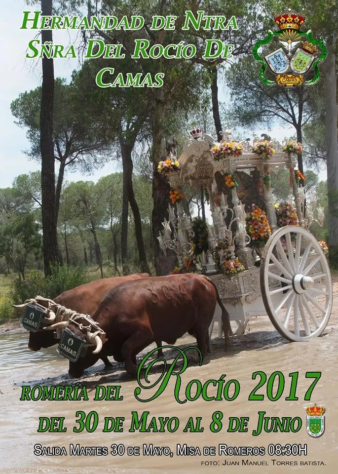 Camas cartel 2017
