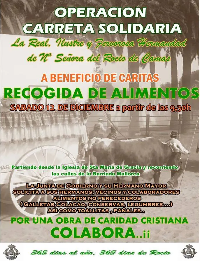 Camas navidad 2015