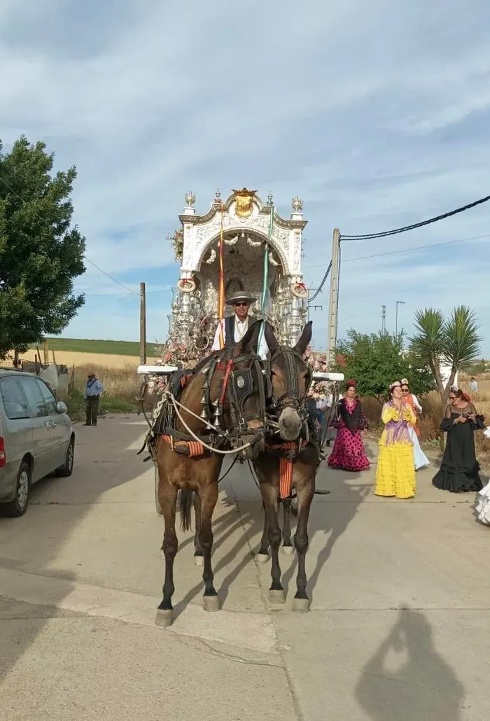 Momentos del camino rocio 2022-219
