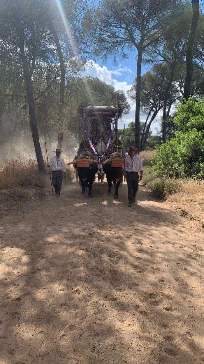 Momentos del camino 2022-Priego