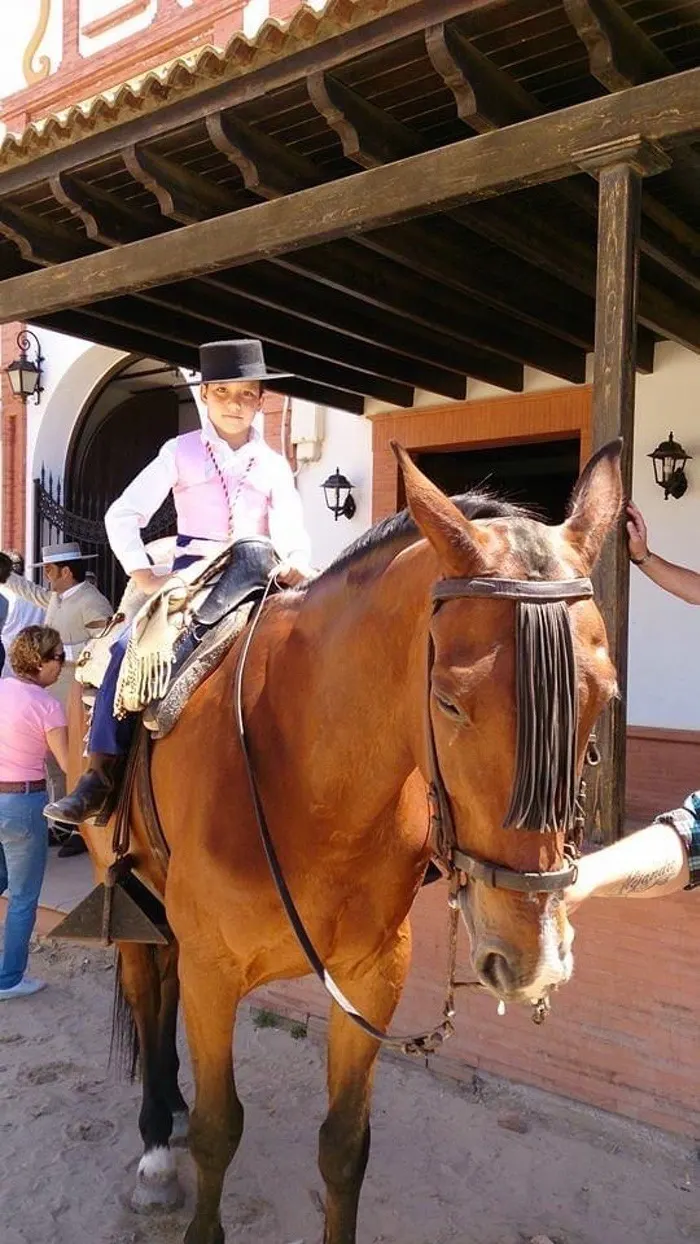 Momentos del camino rocio 2022-247