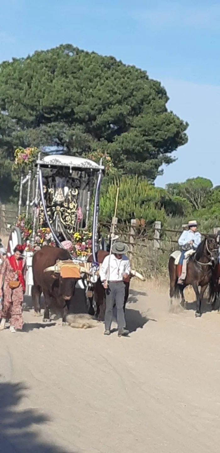 Momentos del camino rocio 2022-139