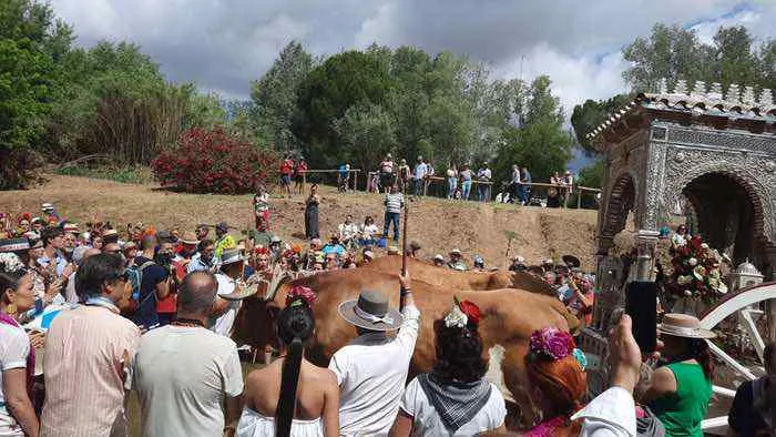 Momentos del camino 2022-Granada-1