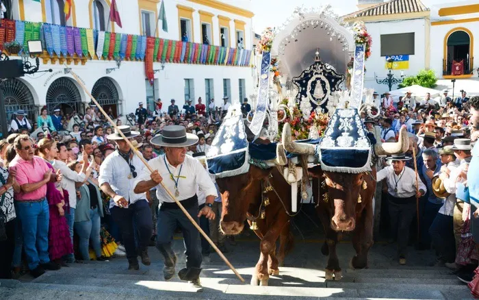 Momentos del camino rocio 2022-75