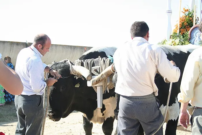 rocio-2010-rocio-aviles-2010-35_std