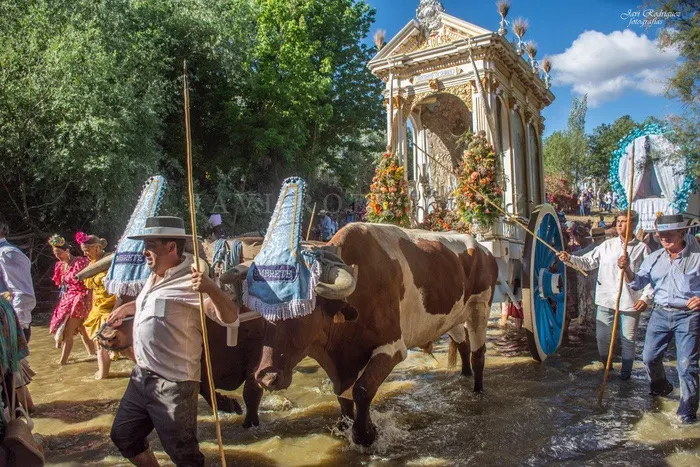 Momentos del camino 2022- Umbrete-8