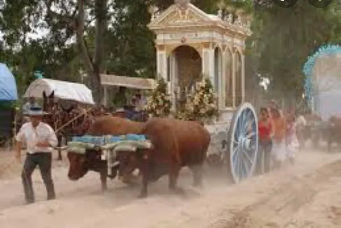 Momentos del camino rocio 2022-umbrete-10