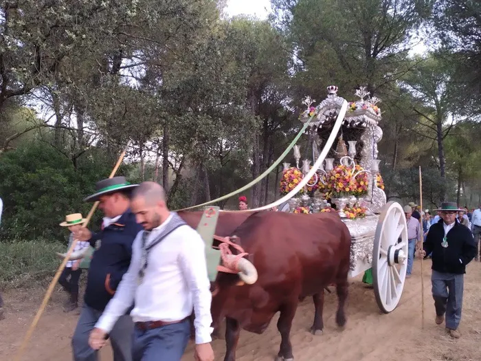 Momentos del camino 2022-Espartinas