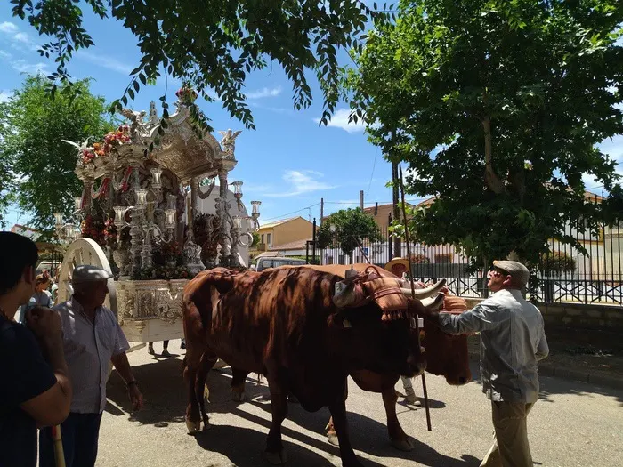 Momentos del camino rocio 2022-235