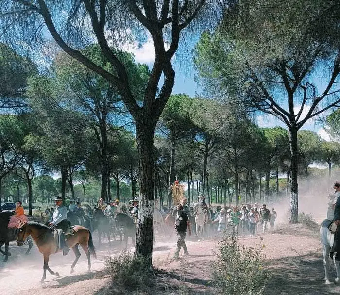Momentos del camino 2022-Almonte-9
