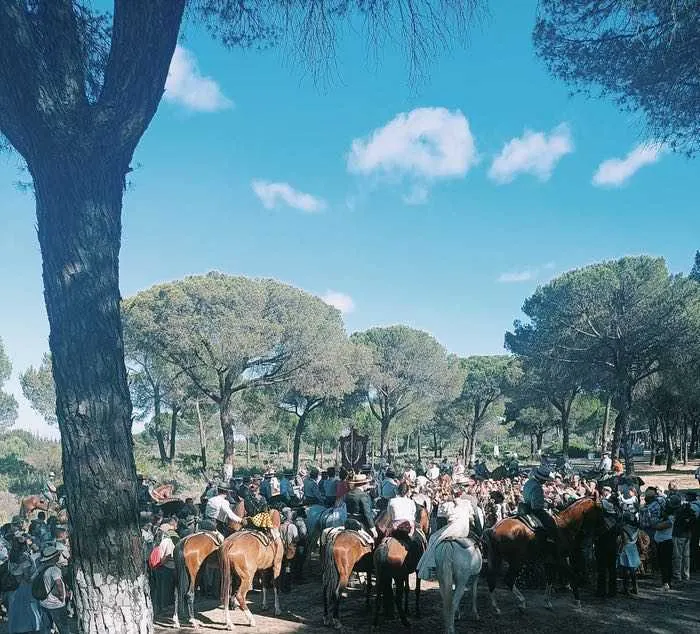 Momentos del camino 2022-Almonte-8