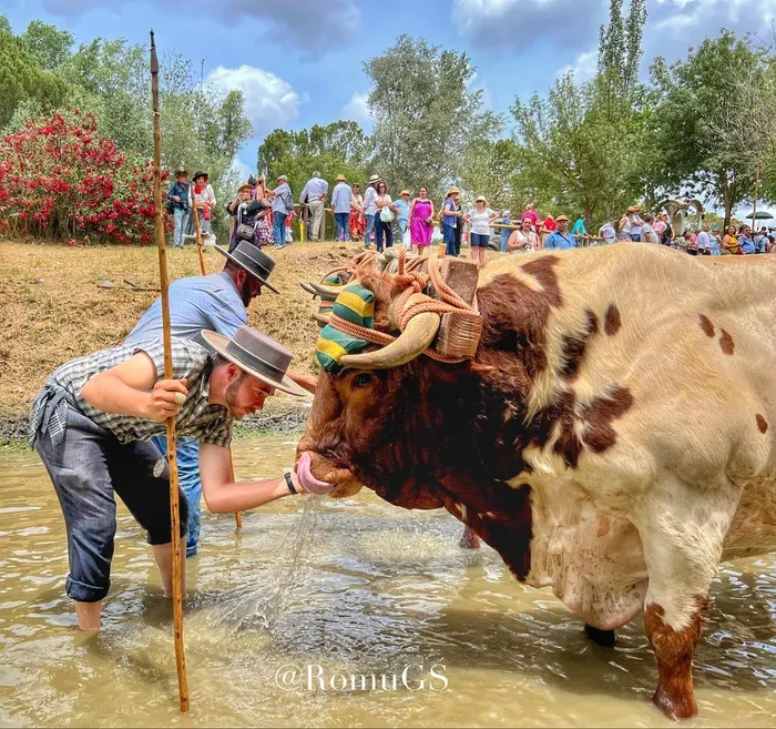 Momentos del camino rocio 2022-137