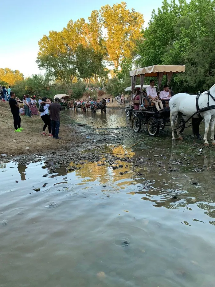 Momentos del camino rocio 2022-234