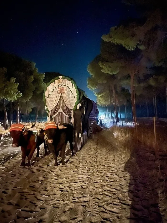 Momentos del camino rocio 2022-284