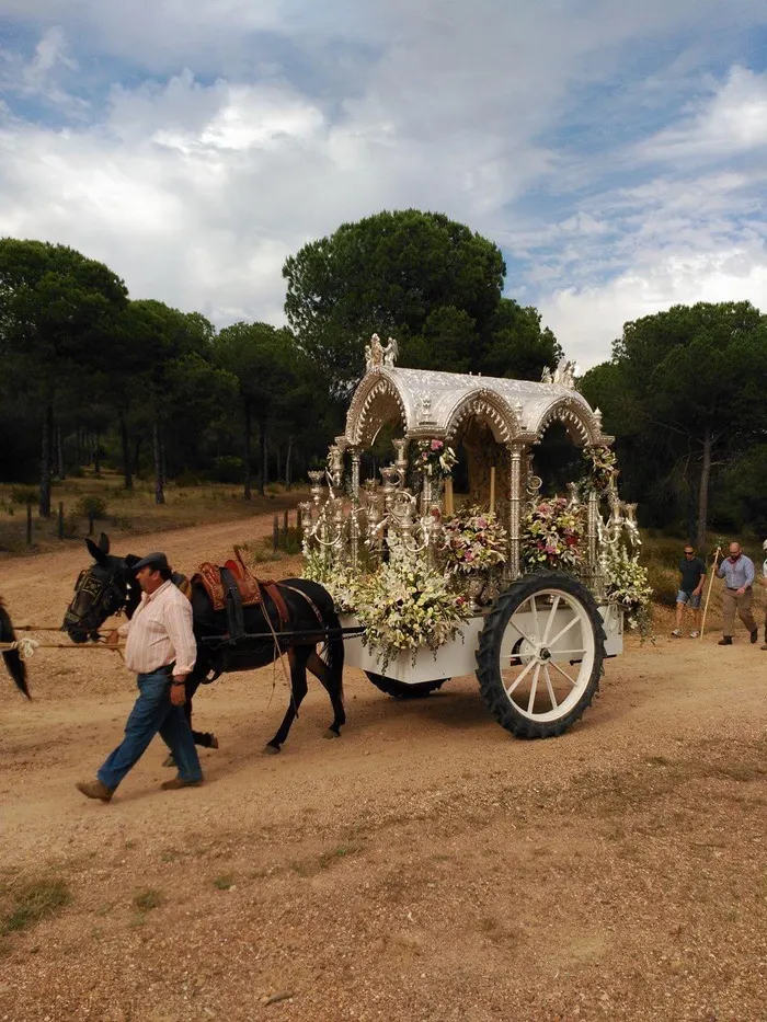 Momentos del camino rocio 2022-82