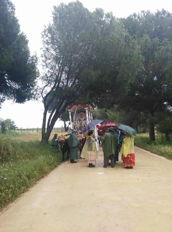 Ronda al rocio 2016-3
