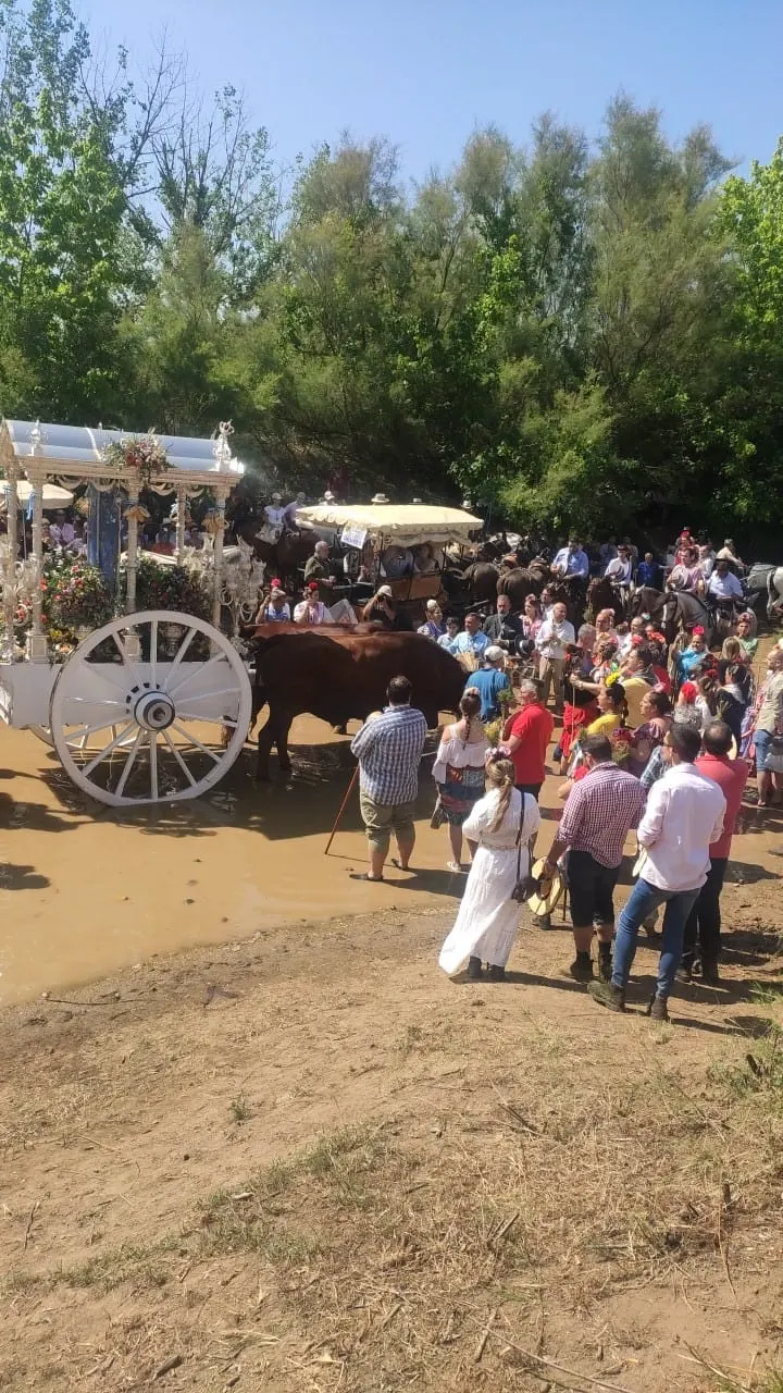 Alcala de Guadaira-1-Momentos del camino rocio 2023