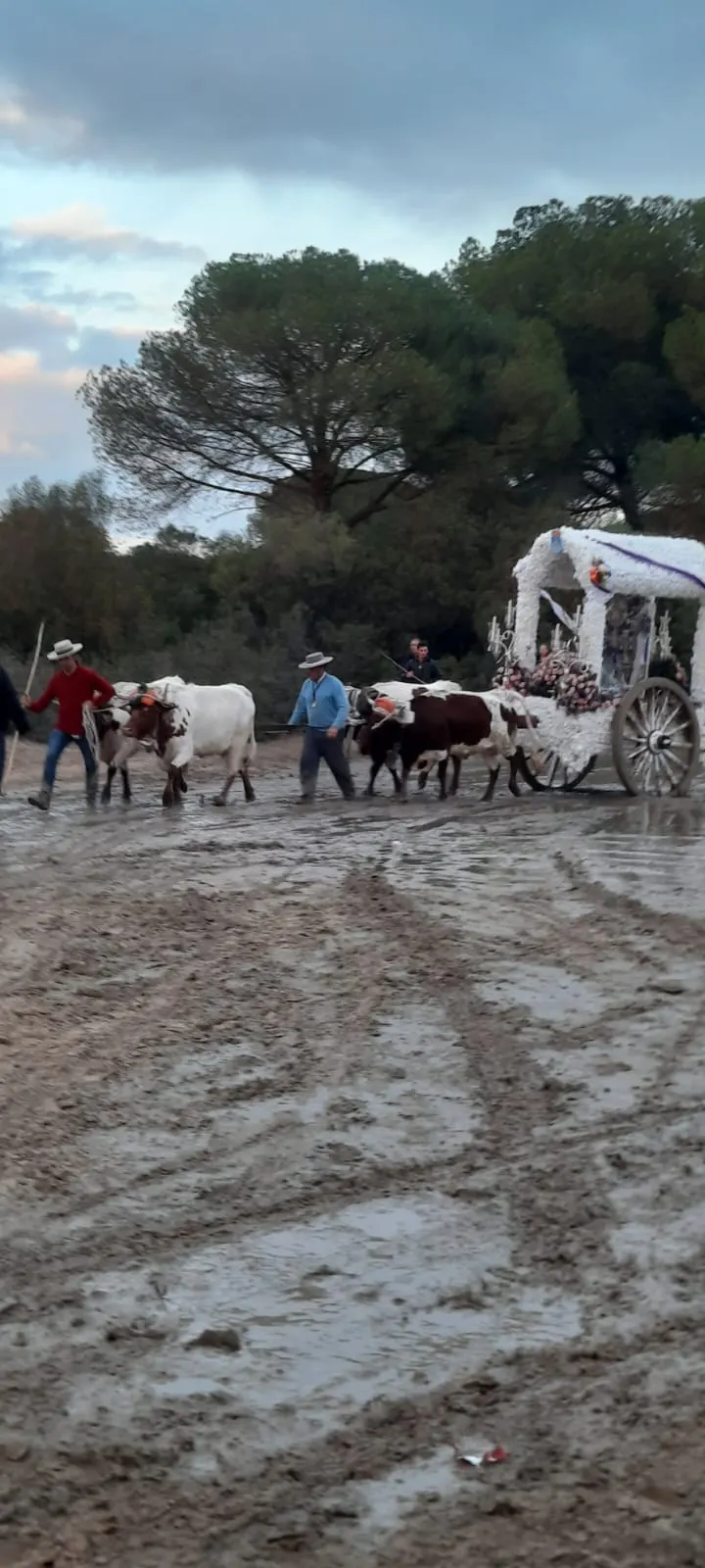 Hermandad de Lebrija - Comienzo Actos 50º Aniversario-8
