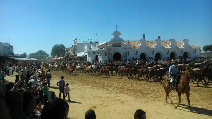 5384-2014-saca-30