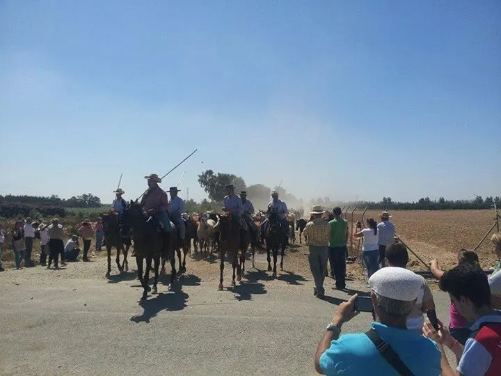5384-2014-saca-32