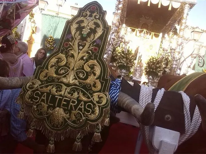 5464-salteras-8