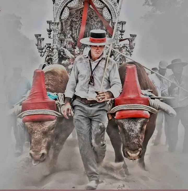 camino-6