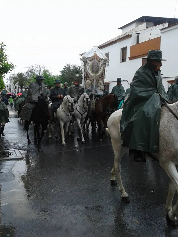 Matriz al rocio 2016-2