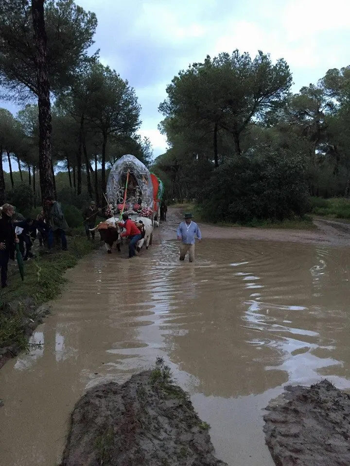San Juan de Aznalfarache al rocio 2016-3